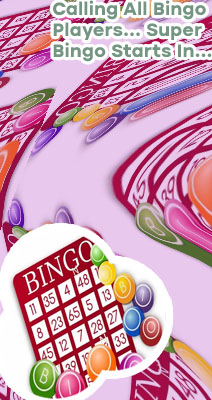 Super bingo online
